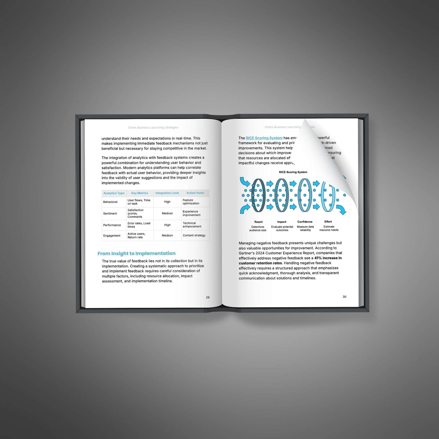Online Business Launching Strategies - E-book