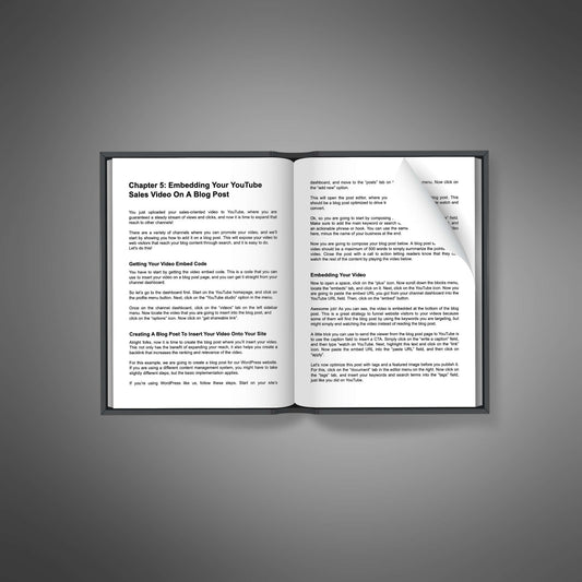 YouTube Business Studio - E-book